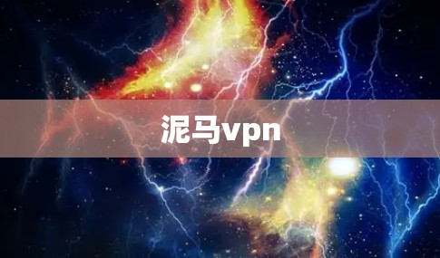 泥马vpn