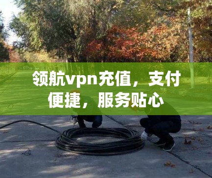 领航vpn充值，支付便捷，服务贴心