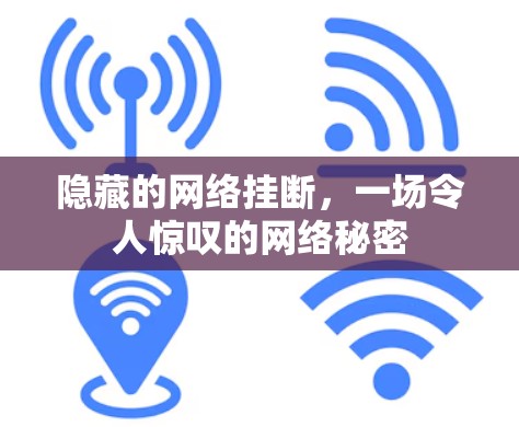 隐藏的网络挂断，一场令人惊叹的网络秘密