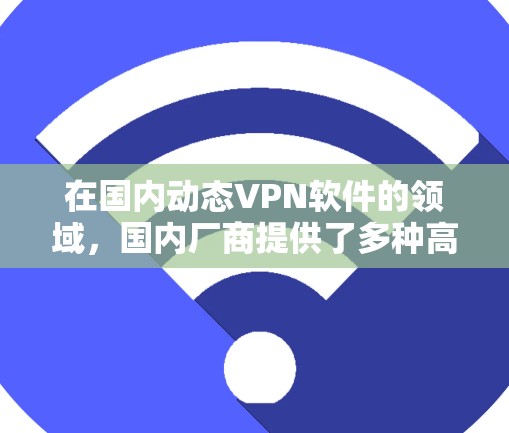 在国内动态VPN软件的领域，国内厂商提供了多种高效、安全的VPN工具，满足不同用户的需求。以下是几款国内知名动态VPN软件
