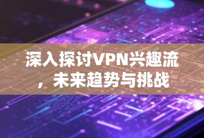 深入探讨VPN兴趣流，未来趋势与挑战