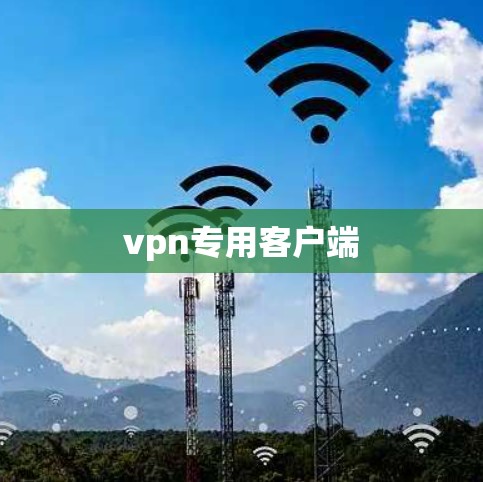 <strong>VPN</strong>专用客户端