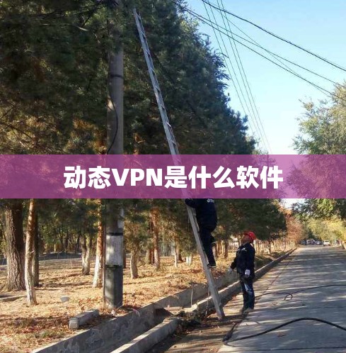 动态VPN是什么软件 动态VPN是什么软件