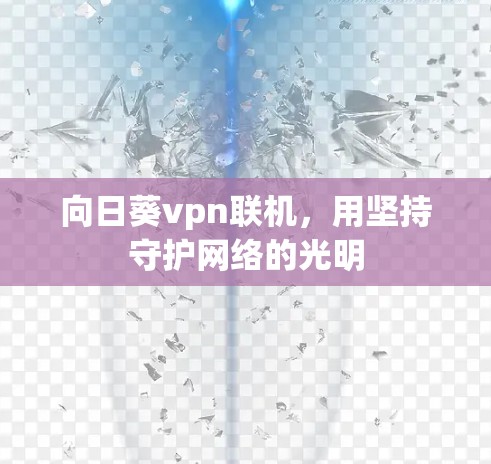 向日葵vpn联机，用坚持守护网络的光明