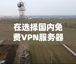 在选择国内免费<strong>VPN</strong>服务器时，以下是一些常见的选择和推荐