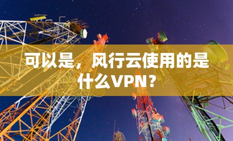 可以是，风行云使用的是什么<strong>VPN</strong>？