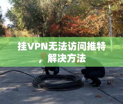 挂VPN无法访问推特，解决方法