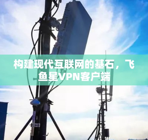 构建现代互联网的基石，飞鱼星<strong>VPN</strong>客户端