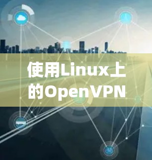 使用Linux上的OpenVPN进行VPN连接的步骤如下