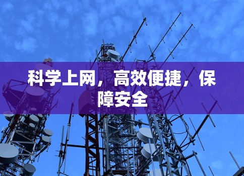 科学上网，高效便捷，保障安全