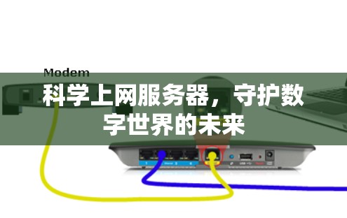 科学上网服务器，守护数字世界的未来