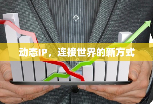 动态IP,连接世界的新方式 动态IP,连接世界的新方式