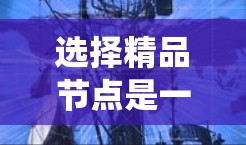 选择精品节点是一个关键的网络管理问题,涉及网络结构、规模、扩展性和负载等多个因素。以下是系统性地总结和建议 选择精品节点是一个关键的网络管理问题,涉及网络结构、规模、扩展性和负载等多个因素。以下是系统性地总结和建议