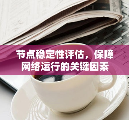 节点稳定性评估，保障网络运行的关键因素