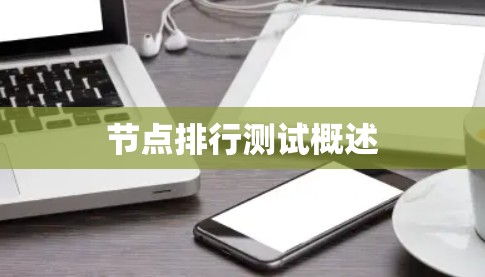 节点排行测试概述