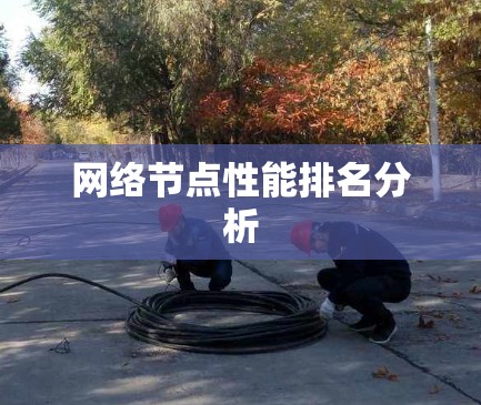 网络节点性能排名分析 网络节点性能排名分析