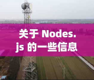 关于 Nodes.js 的一些信息 关于 Nodes.js 的一些信息