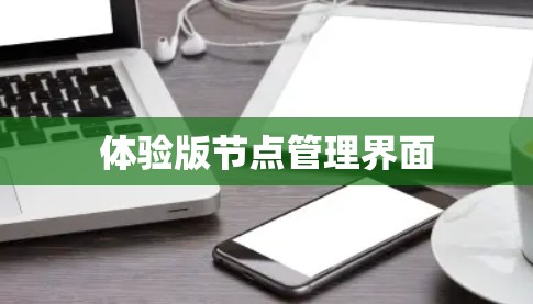 体验版节点管理界面