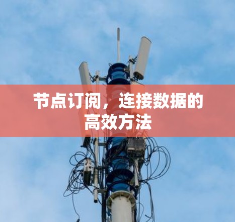 节点订阅，连接数据的高效方法
