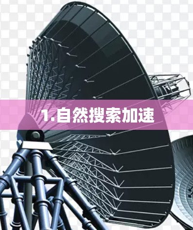 1.自然搜索加速