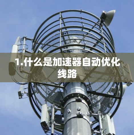 1.什么是加速器自动优化线路