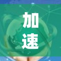 加速器资源网络优化，技术与应用的深度融合