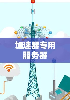 加速器专用服务器