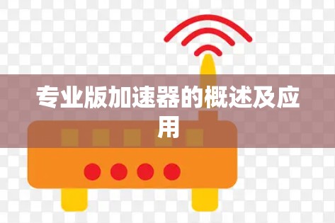 专业版加速器的概述及应用