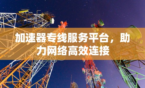 加速器专线服务平台，助力网络高效连接