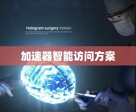 加速器智能访问方案