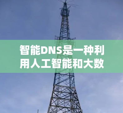 智能DNS是一种利用人工智能和大数据技术优化DNS配置的自动调整系统，旨在提高网站访问速度。以下是关于智能DNS的详细信息
