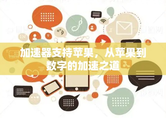 加速器支持苹果，从苹果到数字的加速之道