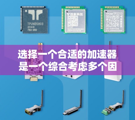 选择一个合适的加速器是一个综合考虑多个因素的问题，涵盖性能、成本、兼容性、软件支持、文档资源以及未来趋势等多个方面。以下是对加速器选择的详细指南