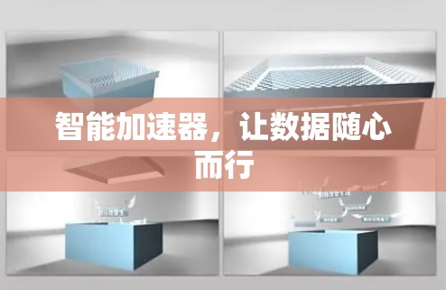 智能加速器，让数据随心而行