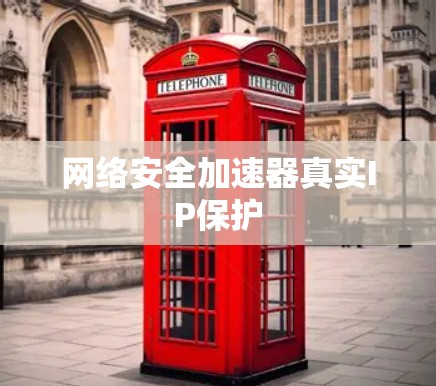 网络安全加速器真实IP保护