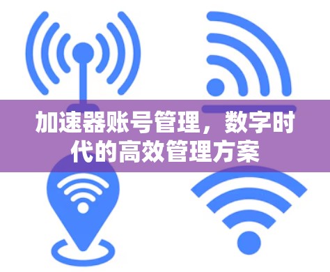 加速器账号管理，数字时代的高效管理方案