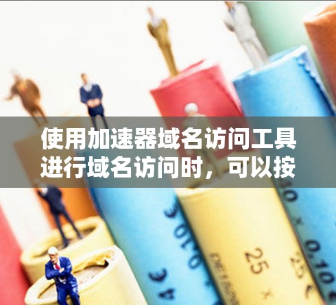 使用加速器域名访问工具进行域名访问时，可以按照以下步骤操作