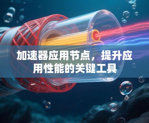 加速器应用节点，提升应用性能的关键工具