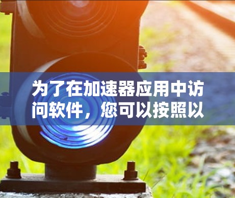 为了在加速器应用中访问软件，您可以按照以下步骤操作