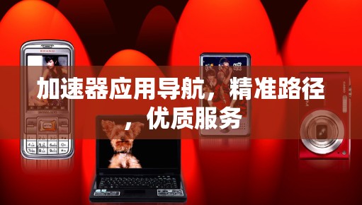 加速器应用导航，精准路径，优质服务