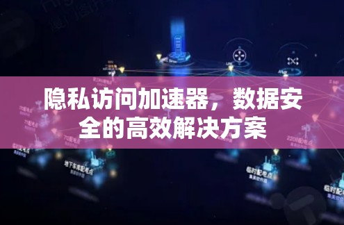 隐私访问加速器,数据安全的高效解决方案 隐私访问加速器,数据安全的高效解决方案
