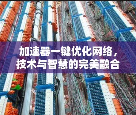 加速器一键优化网络，技术与智慧的完美融合