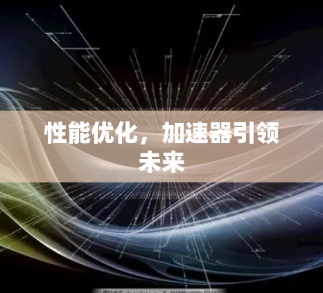 性能优化，加速器引领未来