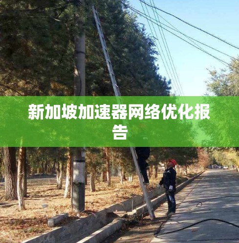 新加坡加速器网络优化报告