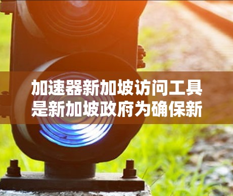 加速器新加坡访问工具是新加坡政府为确保新加坡用户能够快速访问中国的互联网而设计的工具。这些工具旨在帮助新加坡用户高效地利用中国的互联网资源，如新闻、资讯、视频和文档。以下是该工具的详细分析