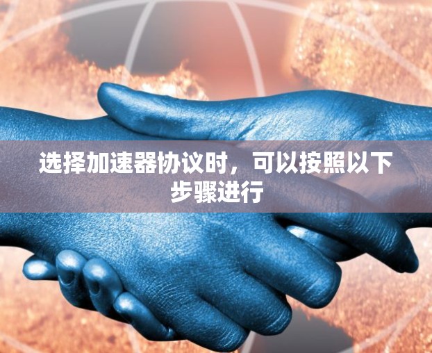 选择加速器协议时，可以按照以下步骤进行