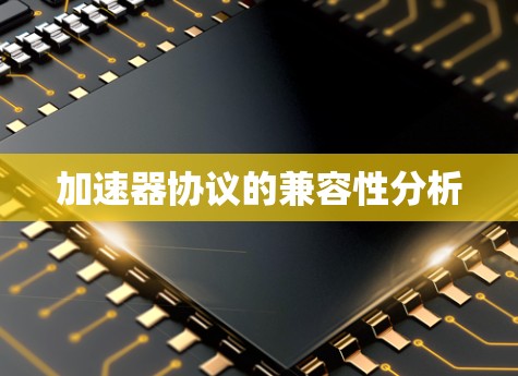 加速器协议的兼容性分析