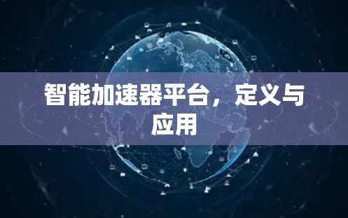 智能加速器平台，定义与应用