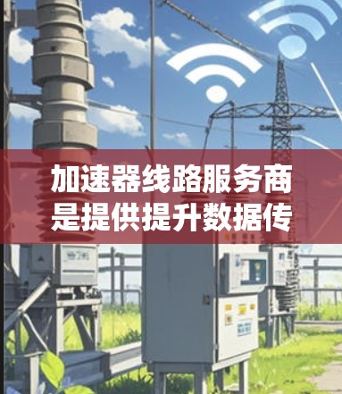 加速器线路服务商是提供提升数据传输速率或网络性能的设备或系统供应商。以下是对这些服务商的详细分析