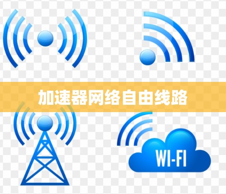 加速器网络自由线路